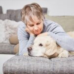 犬が『憂鬱な気分』のときにみせるサイン5選　精神的に弱ってしまう原因や適切な接し方まで(ブログ)