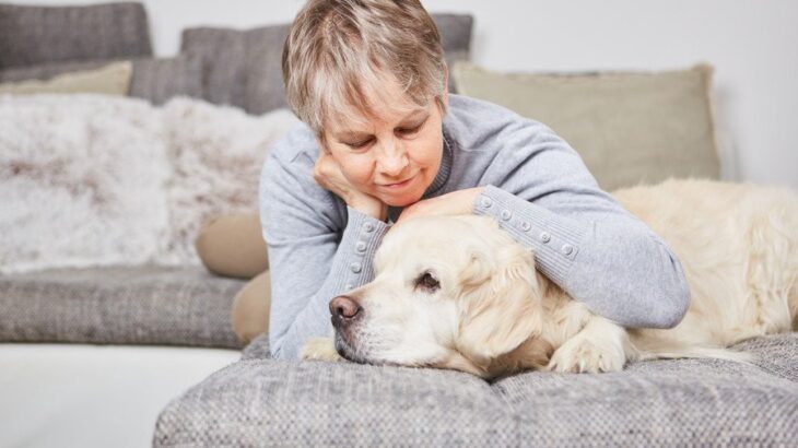 犬が『憂鬱な気分』のときにみせるサイン5選　精神的に弱ってしまう原因や適切な接し方まで(ブログ)