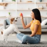 犬が飼い主を遊びに誘っているときのサイン3つ　愛犬からの要求に応えるために知っておきたいこと(ブログ)