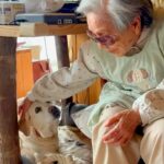 引退した元盲導犬が『8年間一緒に暮らしたおばあちゃん』に会いに行ったら…涙あふれる『再会の瞬間』が31万再生「猛烈に感動」「愛がすごい」(ブログ)