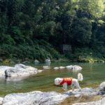 犬が危ない目にあう『水遊び』5つ　起こりうるトラブルや注意すべきポイントとは(ブログ)