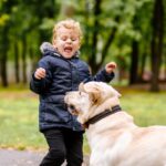 犬が『恐怖心を感じるもの』4選　愛犬を落ち着かせる方法から飼い主が取るべき対応まで(ブログ)