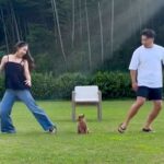 『パパとママが逆方向に走ったら、犬はどちらについてくるのか？』を検証→切なすぎる結果と『まさかの展開』が250万再生「全員可愛い」と反響(ブログ)