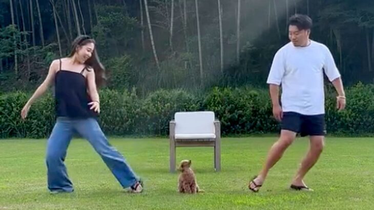 『パパとママが逆方向に走ったら、犬はどちらについてくるのか？』を検証→切なすぎる結果と『まさかの展開』が250万再生「全員可愛い」と反響(ブログ)