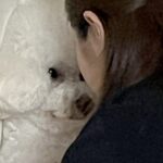 家に遊びに来た妹→なぜか犬と揉めごとが起こり…まさかの『コントのような光景』に41万いいねの大反響「中身は綿ですか？」「同化してて草」(ブログ)