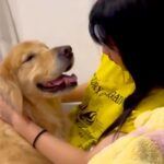 高校生になり忙しくなった女の子→帰宅すると『寂しがっていた大型犬』が近づいてきて…ほっこりが止まらない『甘えん坊すぎる光景』が24万再生(ブログ)