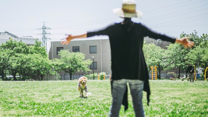 犬と公園に行ったときの『絶対NG行為』6選　揉め事の原因となる危険行動とは？(ブログ)