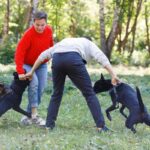 『多頭飼いに不向きな犬』の特徴5つ　手に負えなくなる可能性も…事前に知っておくべき注意点とは(ブログ)