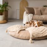 犬が『ふかふかの場所』を好む理由5つ　愛犬にリラックスしてもらうためのポイントまで(ブログ)