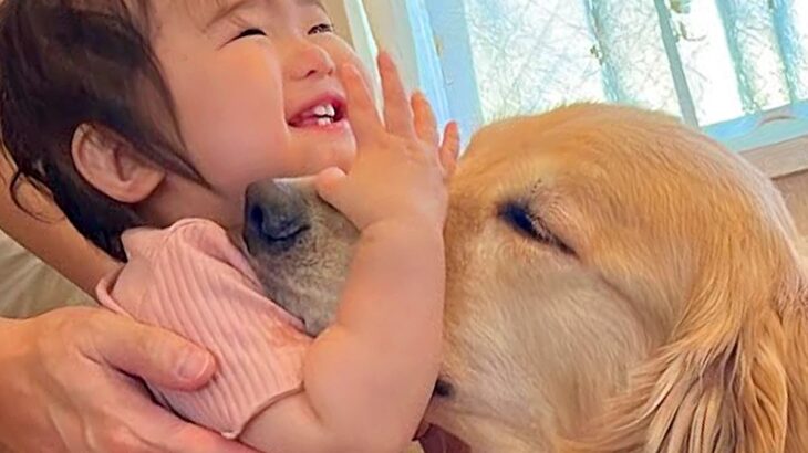 歩き疲れてお昼寝に行こうとする女の子→大型犬が名残惜しそうに…まさかの『人間のような行動』が42万再生「優しい」「幸せな気持ちになる」(ブログ)