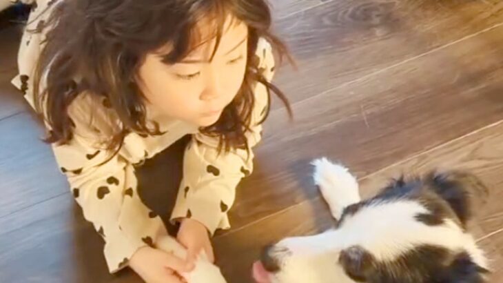 一緒に育ってきた女の子と犬→まるで『本当の姉妹』のようで…強い絆が感じられる尊い光景が13万再生「愛が大きい」「可愛すぎる」と大絶賛の声(ブログ)