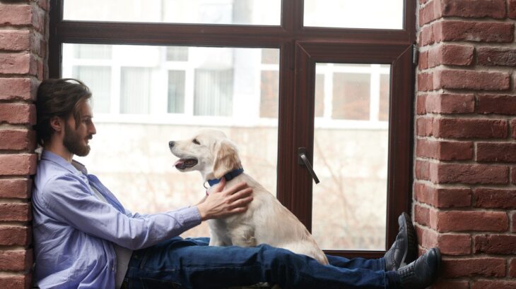 犬に『気持ちを伝える』４つの方法　愛犬との信頼関係が深まる正しい伝え方とは？(ブログ)