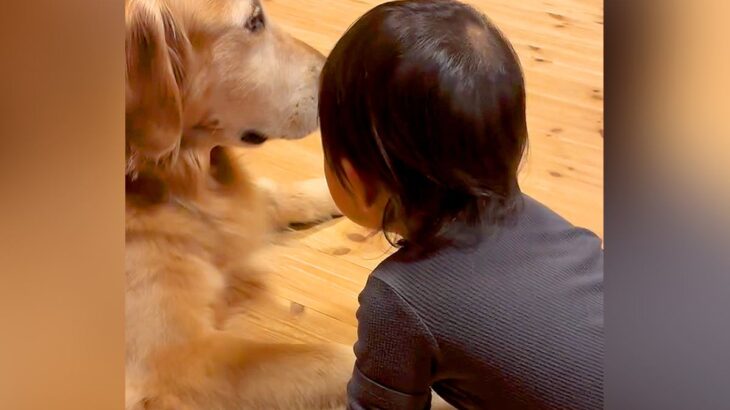 寝る時間になったら、赤ちゃんが大型犬に近づいて…あまりにも尊い『おやすみなさいの行動』が9万再生「素敵すぎる」「可愛い」と悶絶(ブログ)