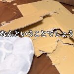 実家に帰省中、2匹の犬をお留守番させた結果…衝撃的な『悲劇のビフォーアフター』に爆笑「派手にやっちゃったｗ」「匠すぎる所業」と14万再生(ブログ)