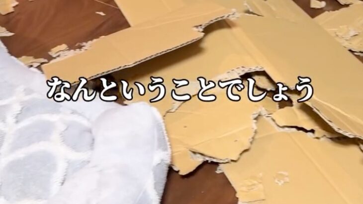 実家に帰省中、2匹の犬をお留守番させた結果…衝撃的な『悲劇のビフォーアフター』に爆笑「派手にやっちゃったｗ」「匠すぎる所業」と14万再生(ブログ)