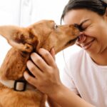 犬が『大好きな人』にだけみせる仕草や行動5選　見逃したくない愛犬からの大好きサインとは？(ブログ)