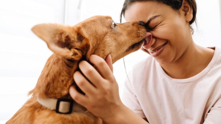 犬が『大好きな人』にだけみせる仕草や行動5選　見逃したくない愛犬からの大好きサインとは？(ブログ)