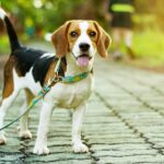 ビーグルの値段相場｜子犬の販売価格からお迎え後にかかる費用まで(ブログ)