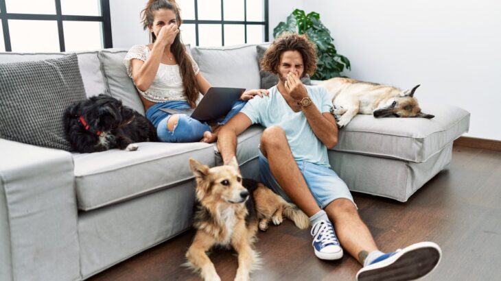 『体臭が少ない犬種』5選　臭いがキツイ犬との違いや日頃からできるお手入れ方法まで(ブログ)