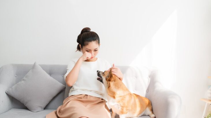 犬が飼い主を『慰めている』6つの行動　心配して寄り添ってくれる愛犬の心理とは(ブログ)
