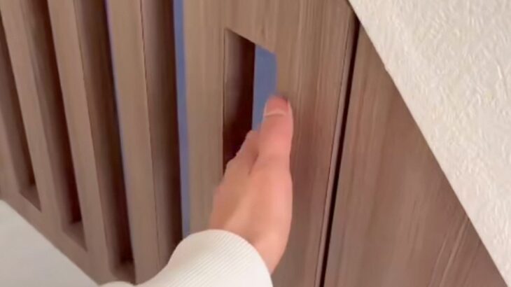 犬のために『階段下をDIYした』結果…「ステキすぎる」「俺の部屋よりいい部屋で草」センスが良すぎる『驚くほどの完成度』に938万再生の反響(ブログ)