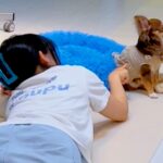 名前を呼んでもそっぽ向く犬→仲良くなれないかと思いきや、40分後…別犬かと思うほどの『態度の変化』が話題「ほっこり」「可愛すぎる」と反響(ブログ)