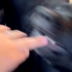 『賢く従順で、落ち着きがあり温厚』と言われる大型犬と暮らしたら…想像と180度違う『まさかの光景』に5万いいね「だがそれが良い」「最高」(ブログ)