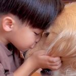 男の子が幼稚園から帰宅した直後、大型犬に向かって…あまりにも尊い『充電タイム』が91万再生「か、か、可愛い」「絵画にして残すレベル」(ブログ)