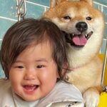 犬とブランコで遊んでいたら、1歳の女の子が『乗りたい』と言い出して…あまりにも尊い『一緒に楽しむ光景』が60万再生「幸せが溢れてる」(ブログ)