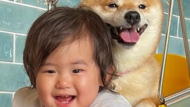 犬とブランコで遊んでいたら、1歳の女の子が『乗りたい』と言い出して…あまりにも尊い『一緒に楽しむ光景』が60万再生「幸せが溢れてる」(ブログ)