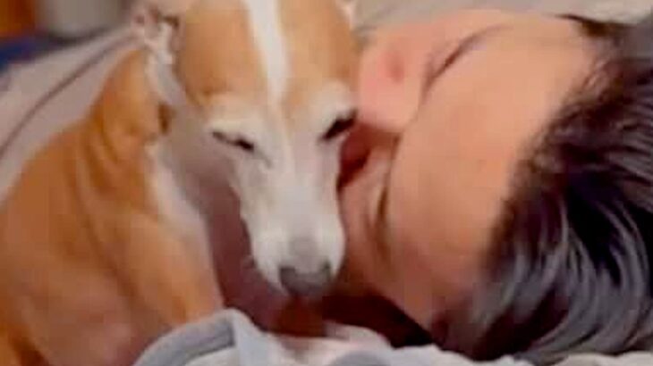 パパが寝ている布団にきた犬→『両ほっぺにチューをしてほしい』と要求してきて…『まさかの結末』に反響「最後笑った」「かわいすぎてニヤけた」(ブログ)