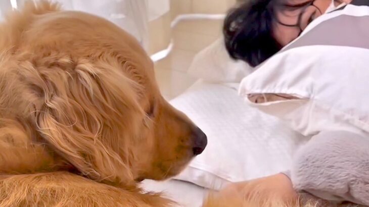 高熱で寝込む女の子→大型犬が様子を見に来て…普段は絶対にしないという『優しすぎる行動』が16万再生「ほんとに愛おしい」「愛を感じる」(ブログ)