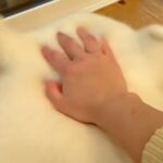 『耳が柔らかすぎる大型犬』頭を撫でていたら…想像以上だった『あまりにも可愛すぎる光景』に4万いいねの反響「たまらん」「ずっと見てたい」(ブログ)