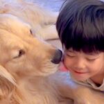 『男の子と大型犬』が一緒に暮らしたら…ずっと見ていたくなる『尊すぎる日常』に「素敵な家族」「幸せホルモンたっぷり」と29万再生の反響(ブログ)