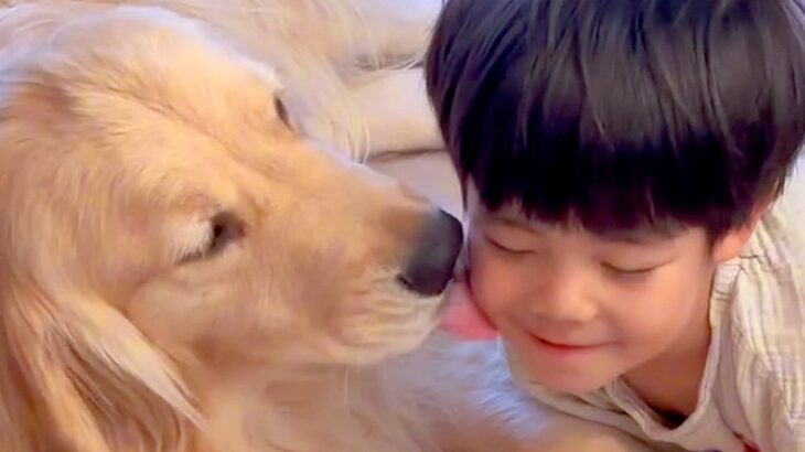 『男の子と大型犬』が一緒に暮らしたら…ずっと見ていたくなる『尊すぎる日常』に「素敵な家族」「幸せホルモンたっぷり」と29万再生の反響(ブログ)