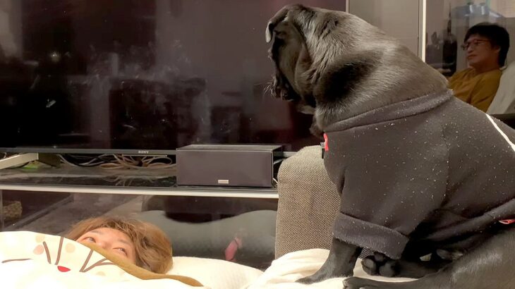 飲みすぎて酔い潰れたママ→心配した犬がやってきて…愛を感じる『全力で一生懸命な光景』に反響「いい子」「熱烈なペロペロに笑っちゃうｗ」(ブログ)