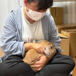 出張！抱っこ講座はこんな内容をやっています〈その２〉(ブログ)