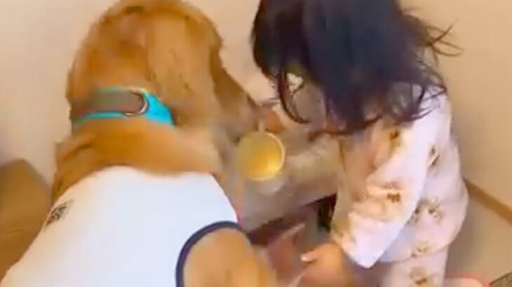 小さな女の子が『大型犬の朝ごはん担当』になった結果…思わず笑みがこぼれる『尊すぎる朝の様子』が7万再生「思いやりにあふれてる」と悶絶(ブログ)