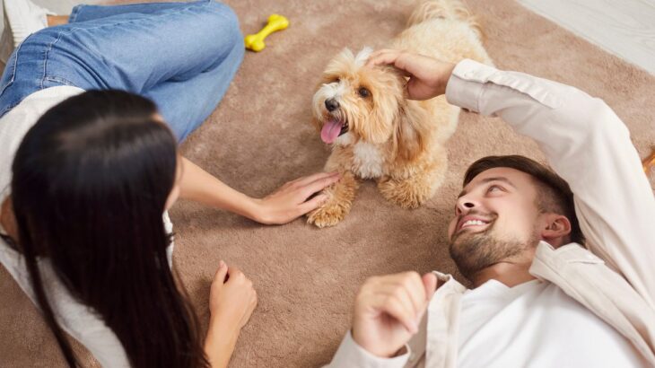 愛犬を『世界で一番幸せにする』方法４選　犬にとっての幸福とは？欲求を満たしてあげるにはどうしたらいいの？(ブログ)