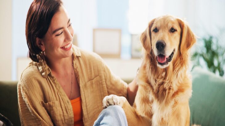 犬が足で『ちょいちょい』してくる心理4つ　なにを要求しているの？愛犬からのサインへの応え方まで(ブログ)