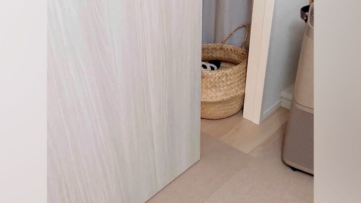 ドアから出てくる犬→毎回褒めまくった結果…喜ばすために見せた『まさかの行動』が尊すぎると60万表示の反響「何度も…可愛すぎ」と悶絶(ブログ)