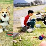 写真に写った男の子と犬→約30年後…思わず感動してしまう『現在の光景』に14万いいねの反響「下僕レベル向上してるｗ」「素敵」と絶賛(ブログ)