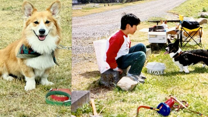 写真に写った男の子と犬→約30年後…思わず感動してしまう『現在の光景』に14万いいねの反響「下僕レベル向上してるｗ」「素敵」と絶賛(ブログ)