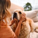 犬に対する『上手な叱り方』5選　愛犬をきちんと反省させるために押さえておきたいポイントまで(ブログ)