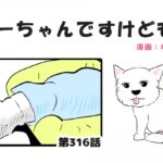 ちーちゃんですけどもっ【第316話】「たまになる寝相」(ブログ)