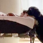 『ちゃんと寝てるかな？』１人で眠っている赤ちゃん→近くにいた犬が…もはやベビーシッターな行動が104万再生「確認可愛すぎ」「頼もしい」(ブログ)