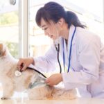 犬が『消化不良』を引き起こす食べ物5選　消化に悪い食材を食べてしまったときの適切な対処法まで(ブログ)