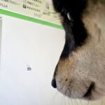 パソコン画面を見つめる犬→カーソルが気になり過ぎて…あまりにも一生懸命な光景に5万5000いいね集まる「横顔可愛すぎ」「気になるねｗ」(ブログ)