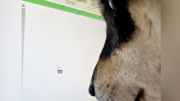 パソコン画面を見つめる犬→カーソルが気になり過ぎて…あまりにも一生懸命な光景に5万5000いいね集まる「横顔可愛すぎ」「気になるねｗ」(ブログ)