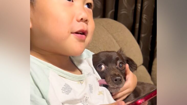 男の子が『ママに叱られてしまった犬』をかばった結果…手慣れ過ぎている『大人のような対応』が99万再生「守られてる感ｗ」「父親の貫禄で草」(ブログ)
